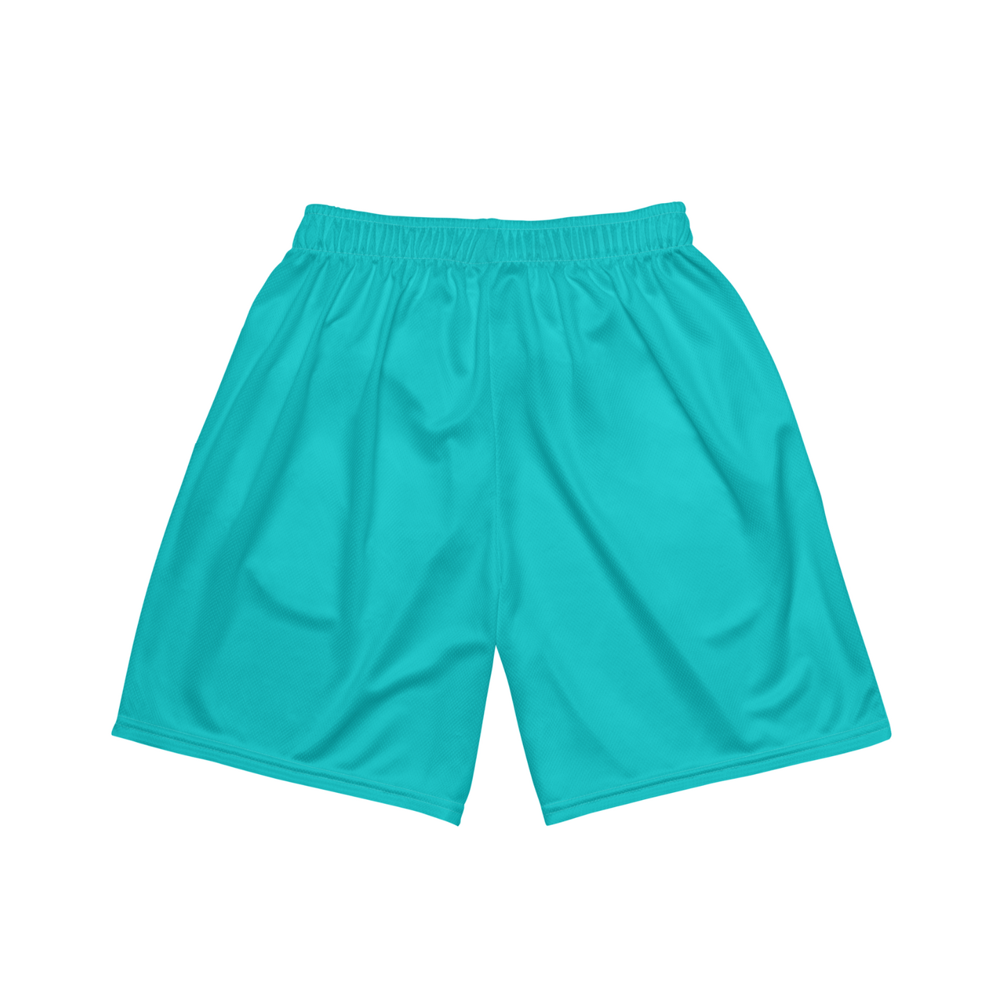 Astor blue Shorts