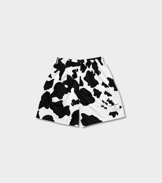 Astor moo thai SHORT